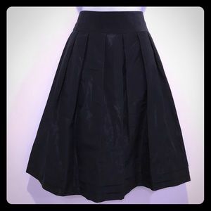 Banana Republic Black Pleated A Line Skirt